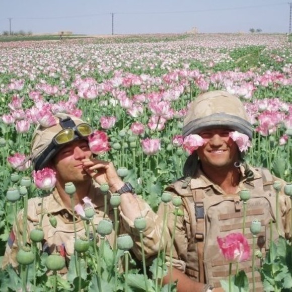 Meet your Posher, Gareth - Picture 1 of 1